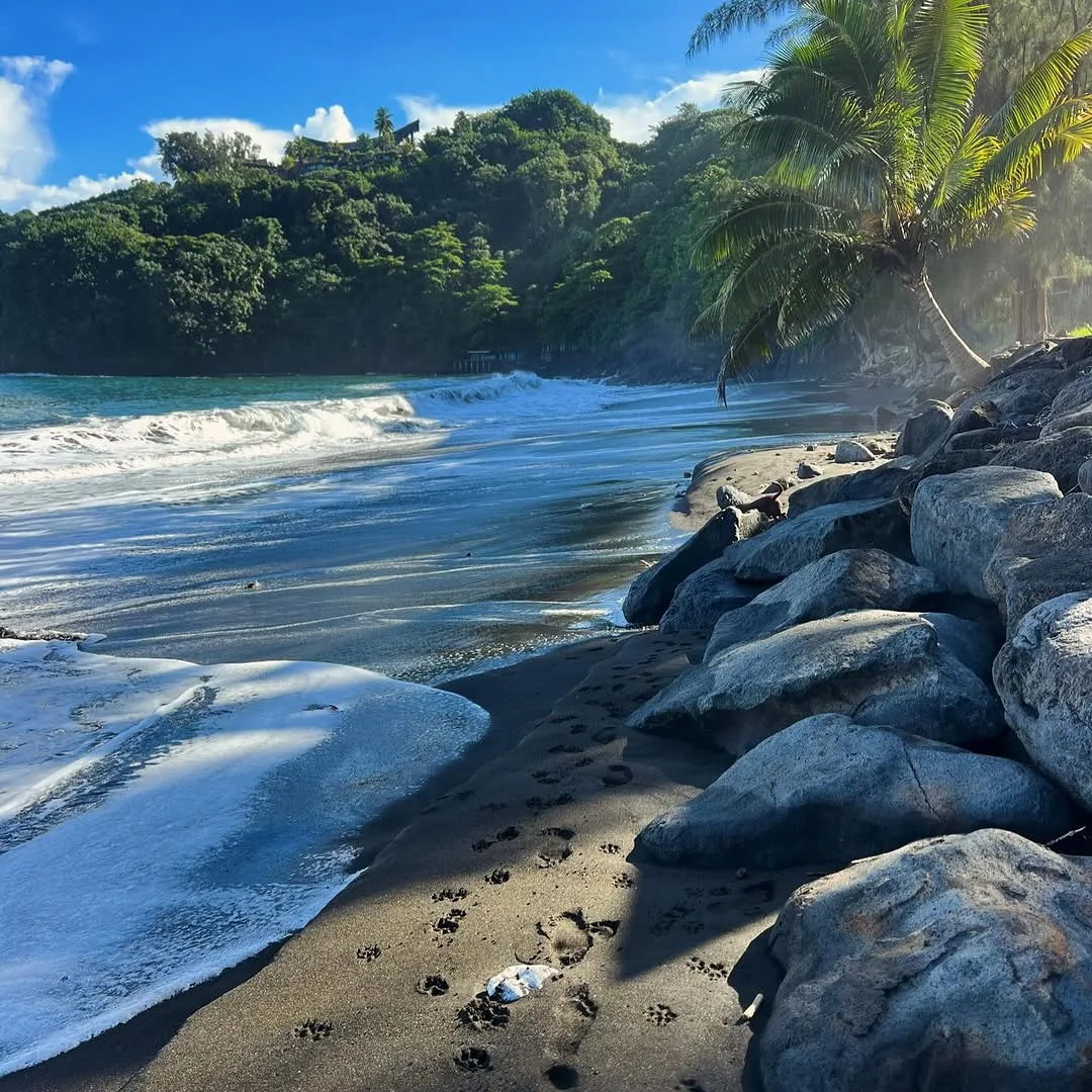 Black sand beach in Tahiti with palm trees and ocean waves.